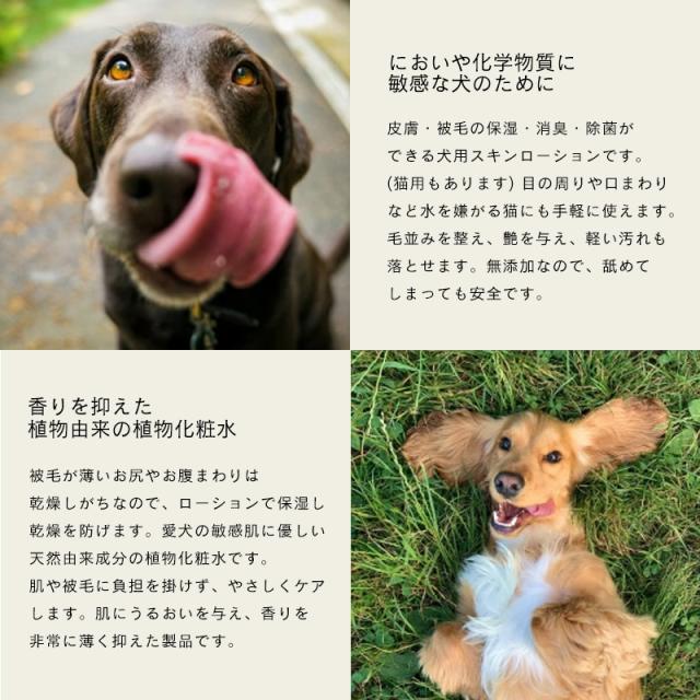 においや化学物質に敏感な犬のために