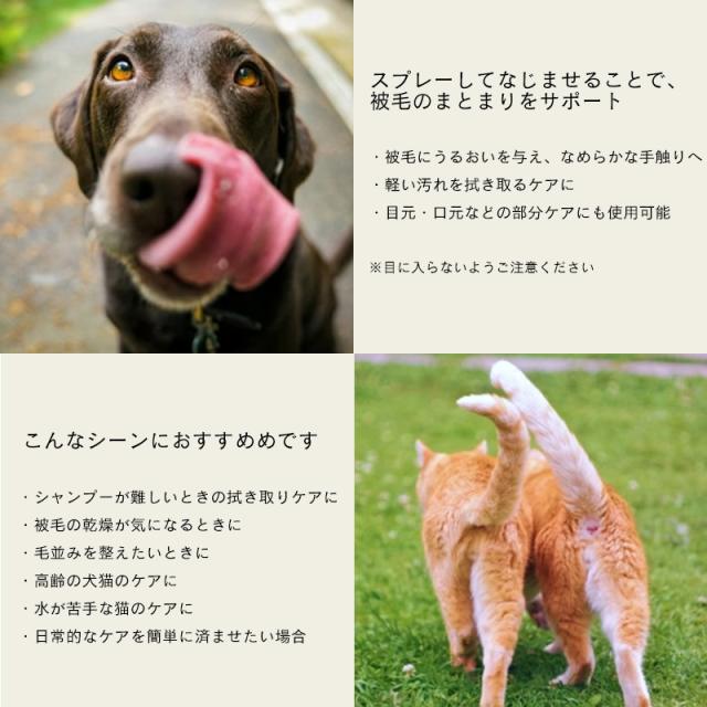 スプレーしてなじませることで、被毛のまとまりをサポート