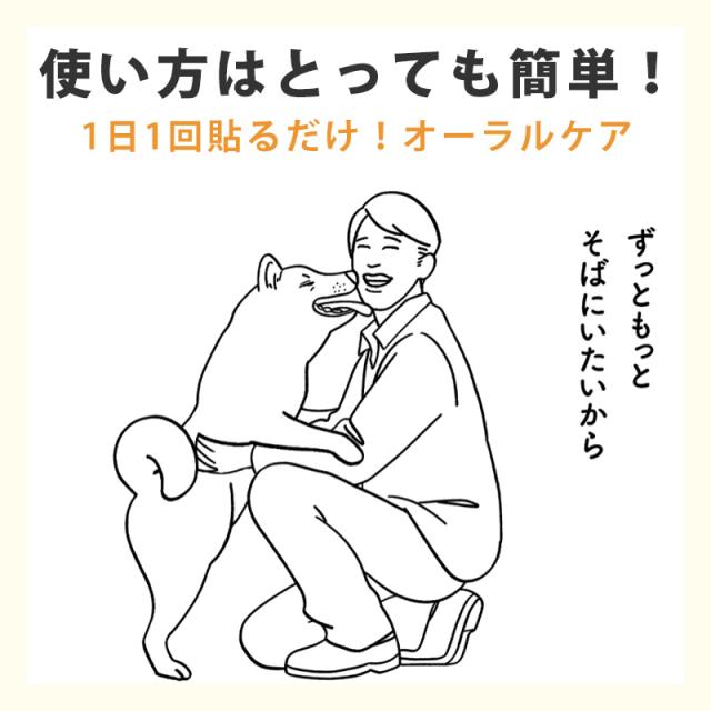 使い方はとっても簡単！