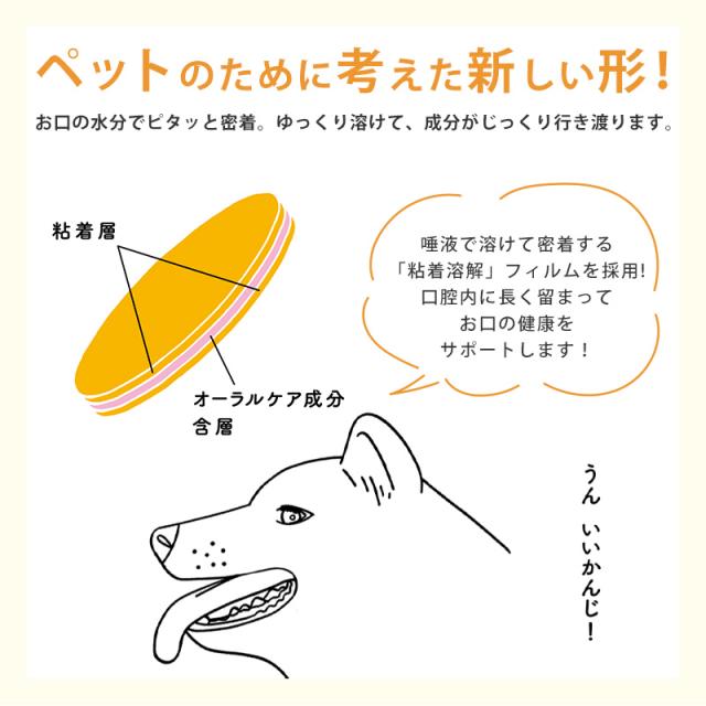 ペットのために考えた新しい形！