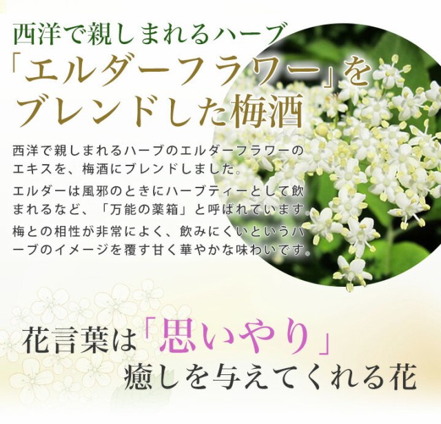 梅酒 敬老の日 敬老 プレゼント お酒 花以外 誕生日 女性 お祝い Elder Flower エルダーフラワー Gift の通販はau Pay マーケット 紀州の梅酒 日本酒の通販 長久庵 商品ロットナンバー