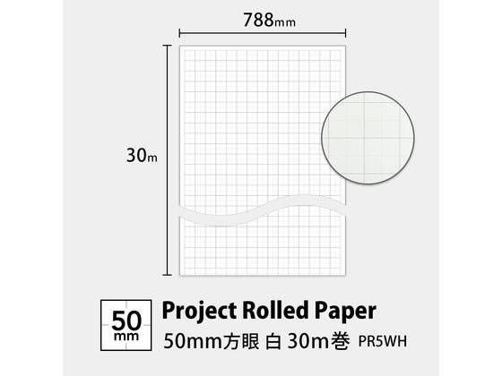 オキナ プロジェクトロール 50mm方眼 白 PR5WH