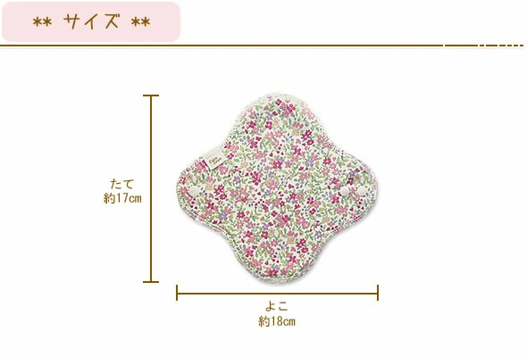 オーガニック・ライナーサイズ