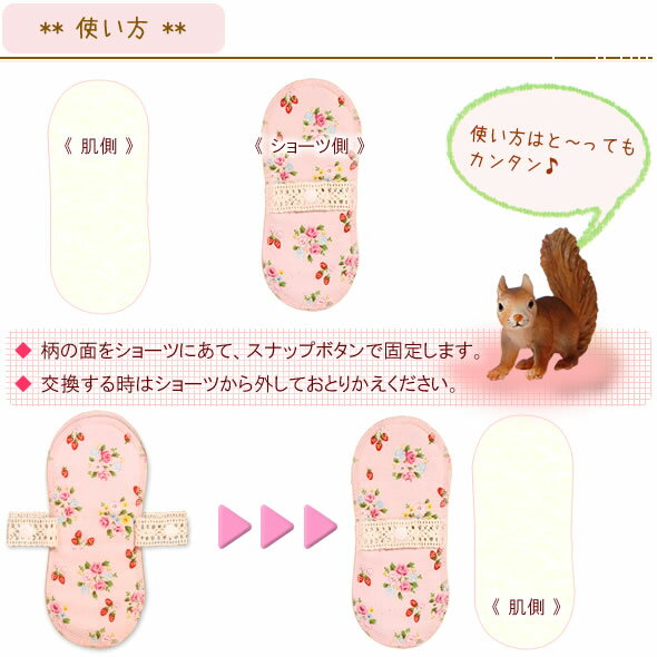 プチナプ使い方