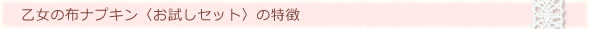 ルランルラン・乙女の布ナプキン・お試しセットの特徴