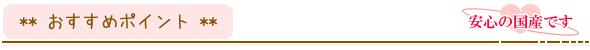 おすすめポイント