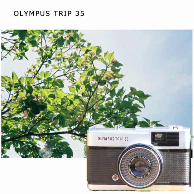 完動品】Olympus Trip 35 フィルムカメラ コンパクトカメラ - カメラ