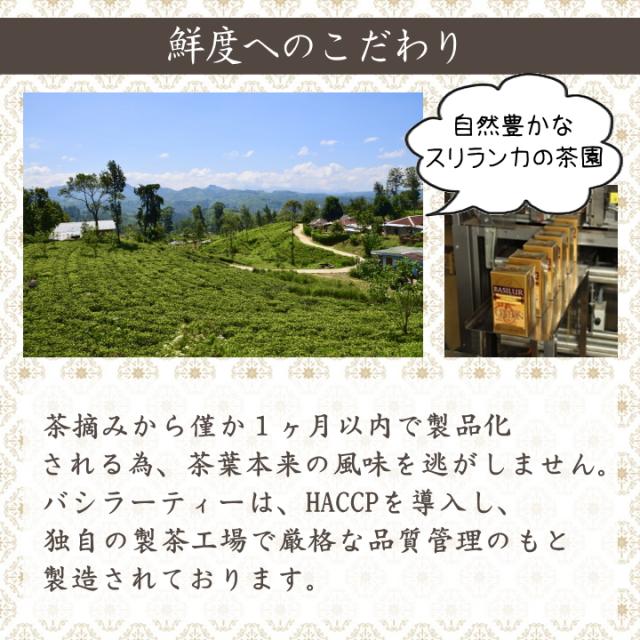 セイロンティー スリランカ 紅茶 ティーバック ティーバッグ ティーパック