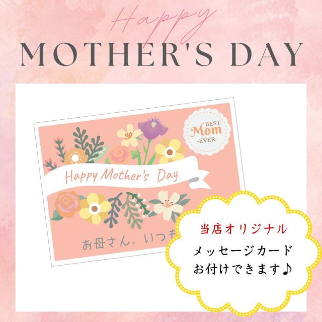 季節の熨斗をご利用いただけます