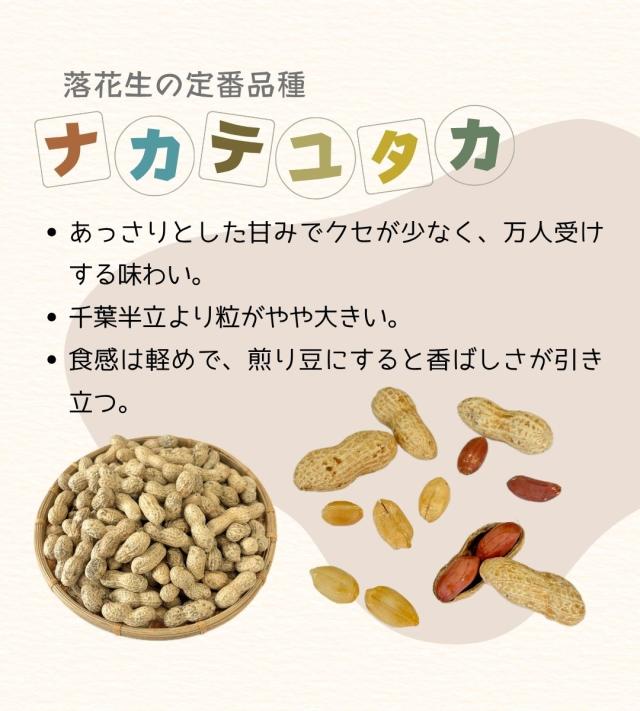 千葉県 八街産 落花生 ピーナッツ 千葉半立 ナカテユタカ 中手豊 Qなっつ 国産 皮ごと 煎りざや 無添加
