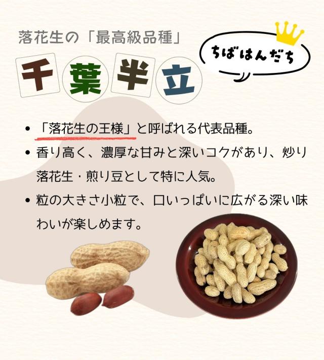 千葉県 八街産 落花生 ピーナッツ 千葉半立 ナカテユタカ 中手豊 Qなっつ 国産 皮ごと 煎りざや 無添加