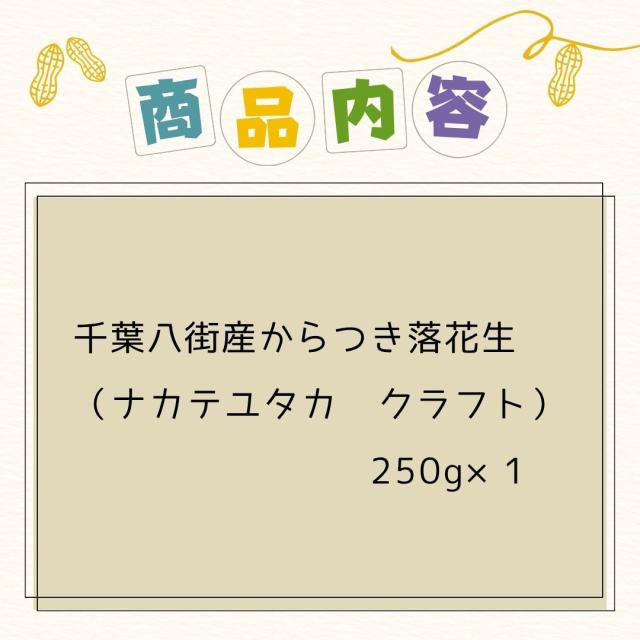千葉県 八街産 落花生 ピーナッツ 千葉半立 ナカテユタカ 中手豊 Qなっつ 国産 皮ごと 煎りざや 無添加