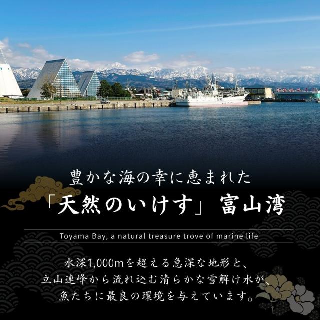 富山 こぶ締め かねみつ さしみ 刺身 盛り合わせ おつまみ 贈り物 贈答 ギフト