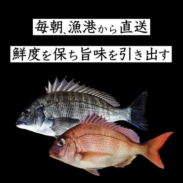 富山 こぶ締め かねみつ さしみ 刺身 盛り合わせ おつまみ 贈り物 贈答 ギフト