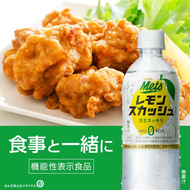 メッツプラス レモンスカッシュ 480ml PET