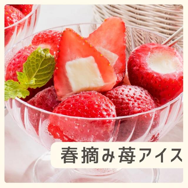 お歳暮ギフト 春摘み苺アイス 20個【O】 お歳暮 ギフト 御歳暮 冬ギフト お祝い お礼 お返し 内祝い 帰省 お供え 贈答品 アイス スイーツ