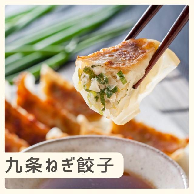 お歳暮ギフト 九条ねぎ餃子【O】 お歳暮 ギフト 御歳暮 冬ギフト お祝い お礼 お返し 内祝い 帰省 お供え 贈答品 グルメ 惣菜