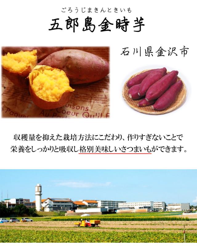 郎島金時いも