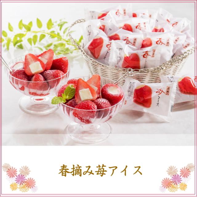 アイス詰め合わせ