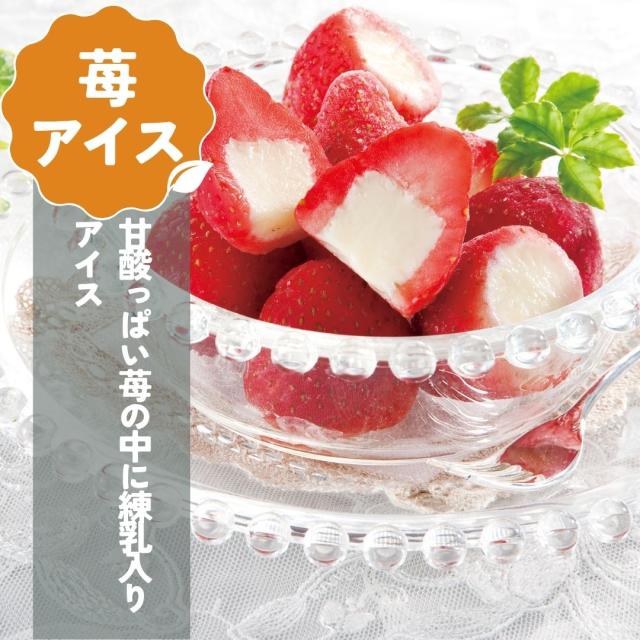 ハーゲンダッツ アイスクリーム ギフト お中元 贈り物