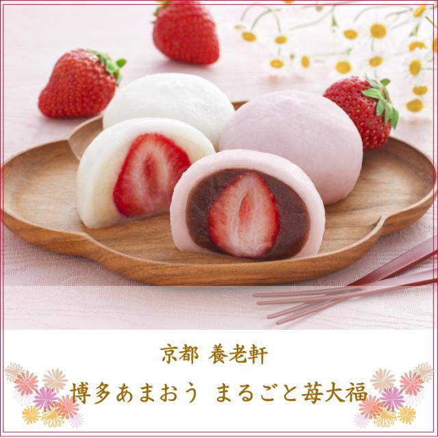いちご大福 贈り物 お祝い 内祝い お礼