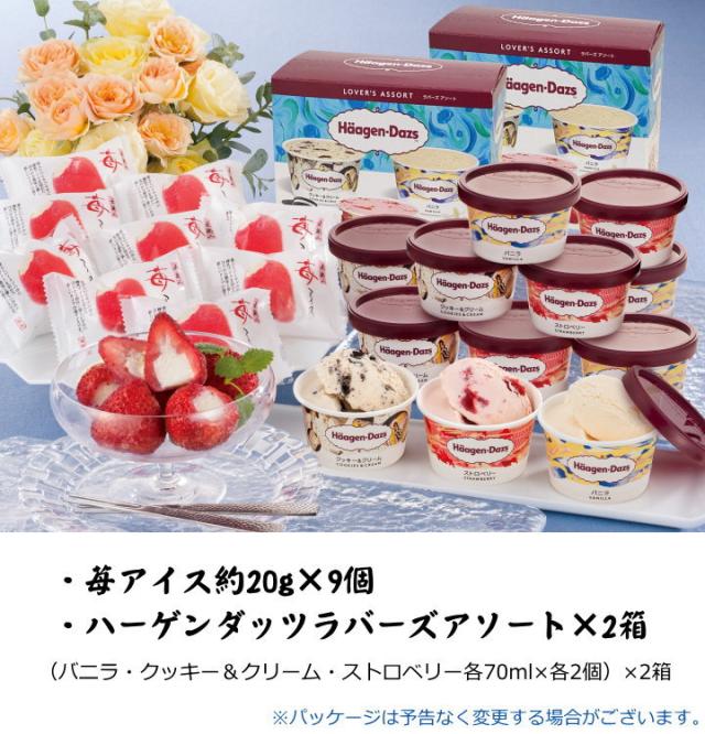 クリアランスバーゲン 期間限定開催 T お取り寄せグルメ 送料無料 ハーゲンダッツ 苺アイス お取り寄せグルメ お取り寄せスイーツ 送料無料 ハーゲンダッツ アイスクリー 在庫限りッ アウトレット Farmerscentre Com Ng