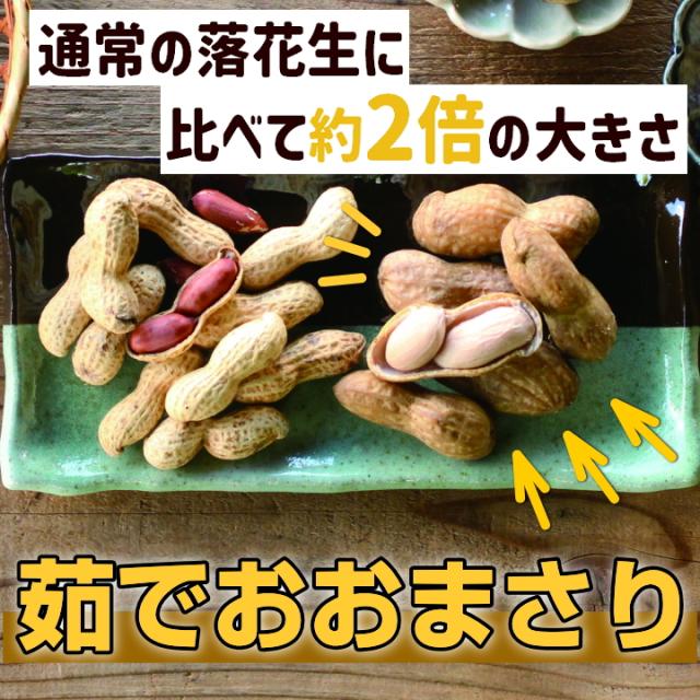 オオマサリのゆで落花生