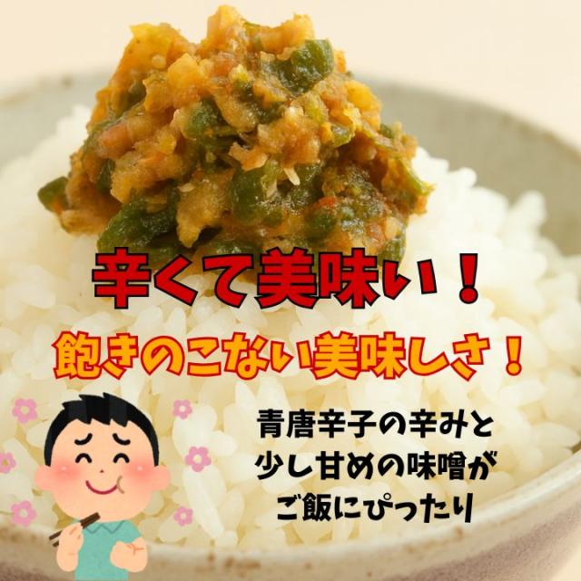 千葉県 房の駅 道の駅 青唐辛子味噌