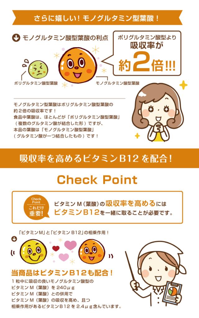 ビタミンM(葉酸)粒EX 30粒』【栄養機能食品】【メール便発送】の通販は