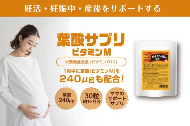 ビタミンM(葉酸)粒EX 30粒』【栄養機能食品】【メール便発送】の通販は