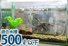 ゼンスイ 水槽用 UV殺菌灯 13W UVバズーカ (45〜120cm水槽まで対応)の