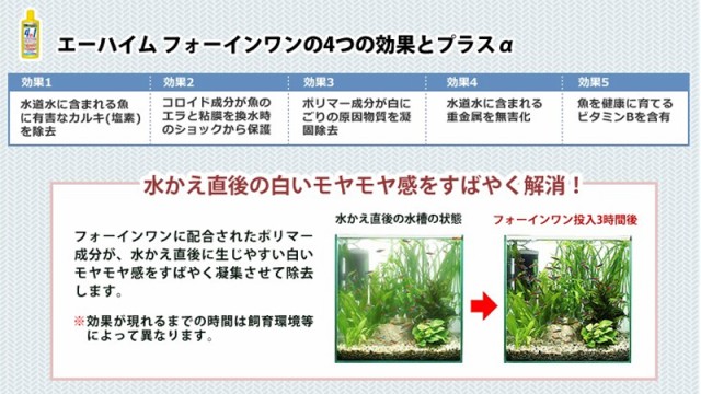 男性に人気 エーハイム 2260 水質調整剤 6本付きセット クラシックフィルター 浄水器 エアレーション用品 Lyrebirdcricket Com Au