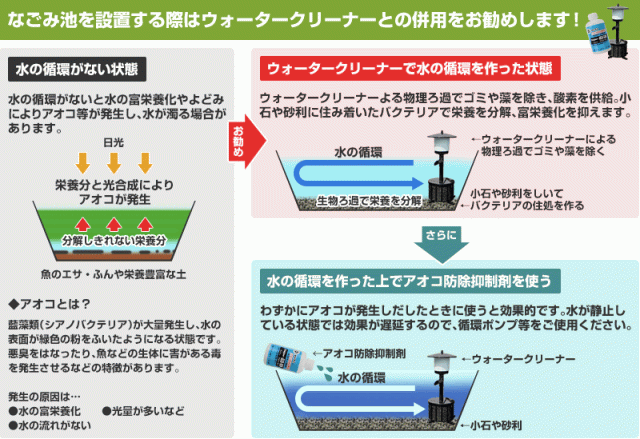 池の循環