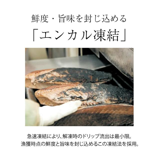 わら焼き鰹たたき1本