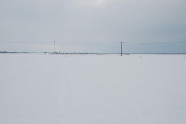津軽にんにく つがる市 冬