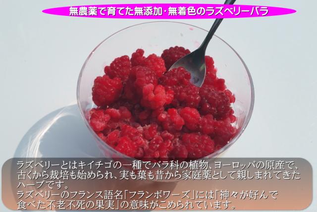 ラズベリー 冷凍 バラ 送料無料 1kg 3パック 栽培期間中農薬不使用 無添加 無着色 国産 木苺 キイチゴの通販はau Pay マーケット グルメ通り 商品ロットナンバー