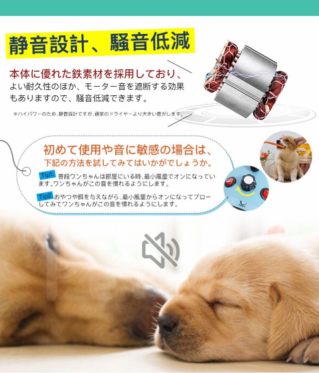 Petmoon】ペット ドライヤー 犬 安心の日本規格！ PSE取得商品