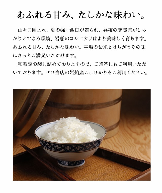 大人気 米 10kg 岩船産コシヒカリ お米 10kg 送料無料 令和２年産米 精米 白米 こしひかり 新潟県産 沖縄へは別途送料 在庫処分特価 Www Centrodeladultomayor Com Uy