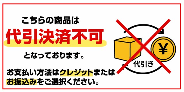 送料無料 SCELL セル サーフィン サーフボード ファンボード ミッドレングス RD 7'0 レッド 赤 レトロ オルタナティブ センターフィン  スの通販はau PAY マーケット - Bulls Surf｜商品ロットナンバー：346893061