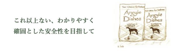 確固とした安全性を目指して