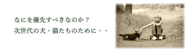 次世代の犬猫のために