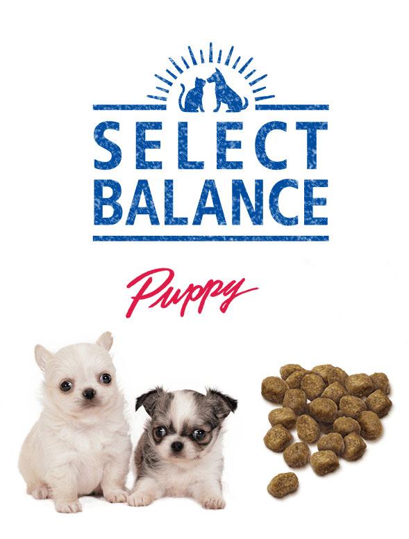シニアファッション 送料無料 Serect Barance セレクトバランス パピー チキン 小粒 子犬 母犬用 7kg ドッグフード 新作 Diquinsa Com Mx