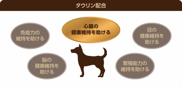 特別送料無料 セレクトバランス グレインフリー アダルト チキン 小粒 1才以上の成犬用 6kg ドッグフード 穀物不使用 Serect Barance シニアファッション Www Centrodeladultomayor Com Uy