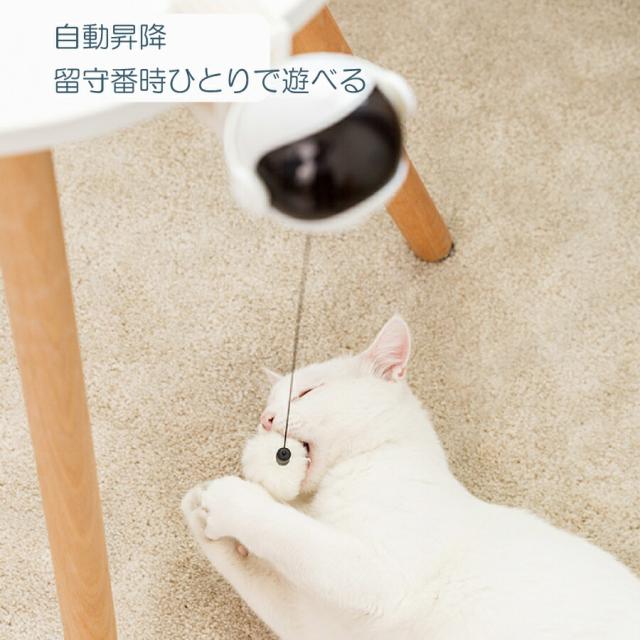 商品画像2