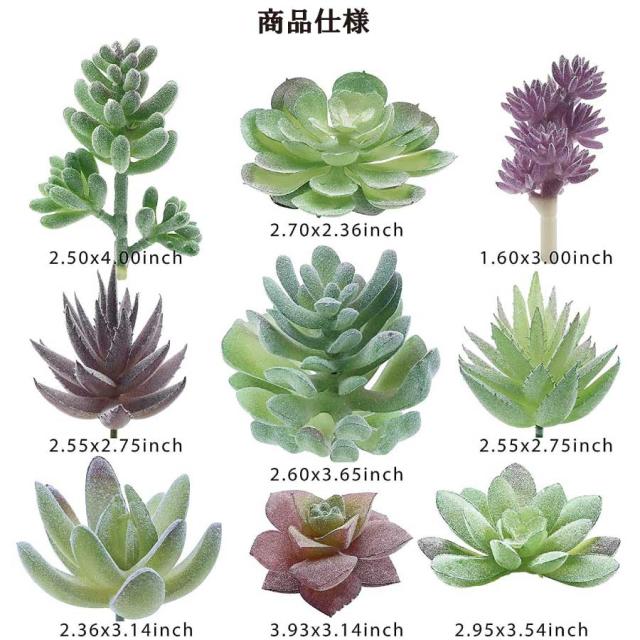 商品画像3