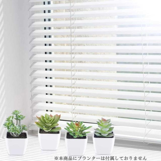 商品画像10