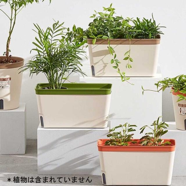 商品画像2