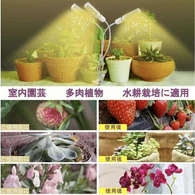 商品画像11