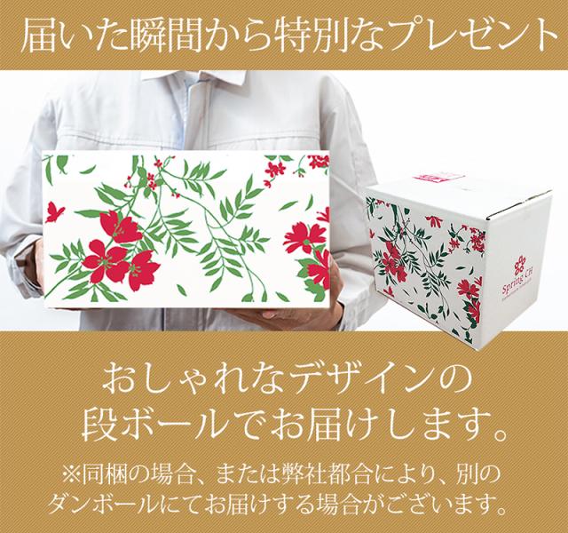 オシャレなデザイン段ボール