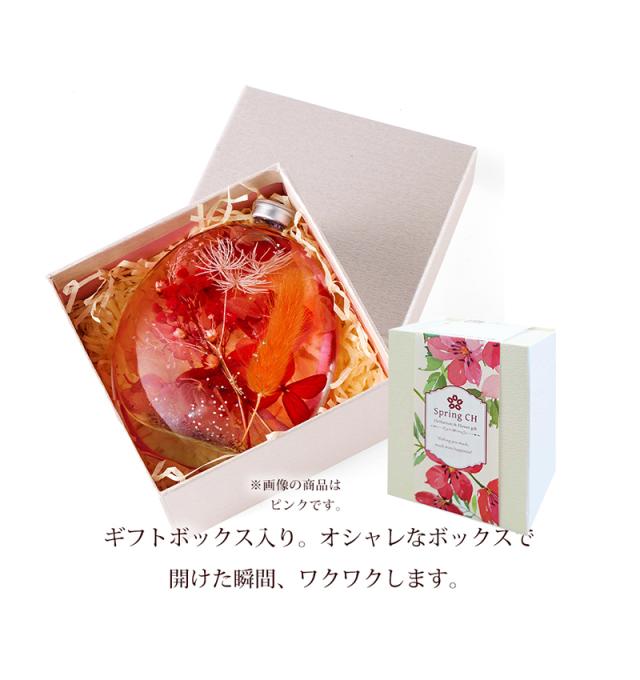 ギフトボックス入り